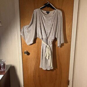 ECI  Cocktail dress  size 8 shimmery silver/gold